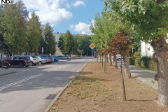 1maja-2025-003