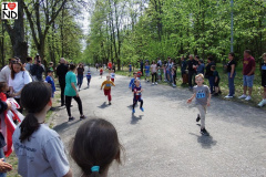 bieg-konstytucji26-011