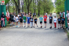 bieg-konstytucji26-023