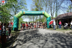 bieg-konstytucji26-044