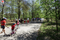 bieg-konstytucji26-046