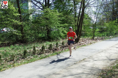 bieg-konstytucji26-053