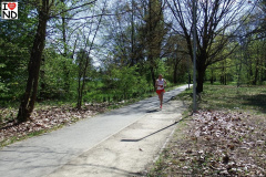 bieg-konstytucji26-057