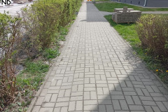 chodnik-mickiewicza-023