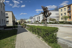 chodnik-mickiewicza-048