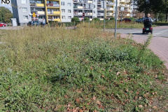 ulice-powiat-003