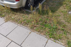 ulice-powiat-022