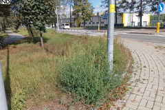 ulice-powiat-039