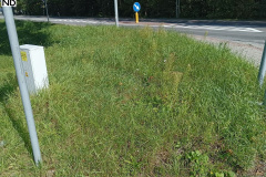 ulice-powiat-043