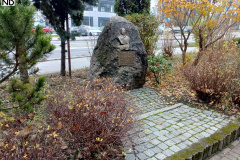 kwiaty11-11-25-222