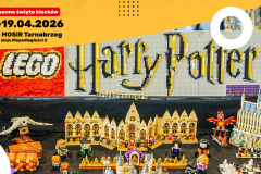 BBF-RT66-Grafiki-media-2