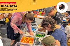 BBF-RT66-Grafiki-media-6