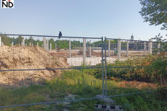 park-handlowy-nd-020
