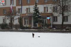 1snieg1125-011