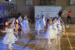 wosp-2026-13