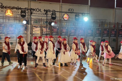 wosp-2026-4
